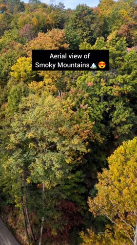 Video post from wander_tales_diary.