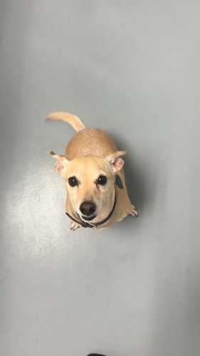 Video post from familyanimalhospitalcm.