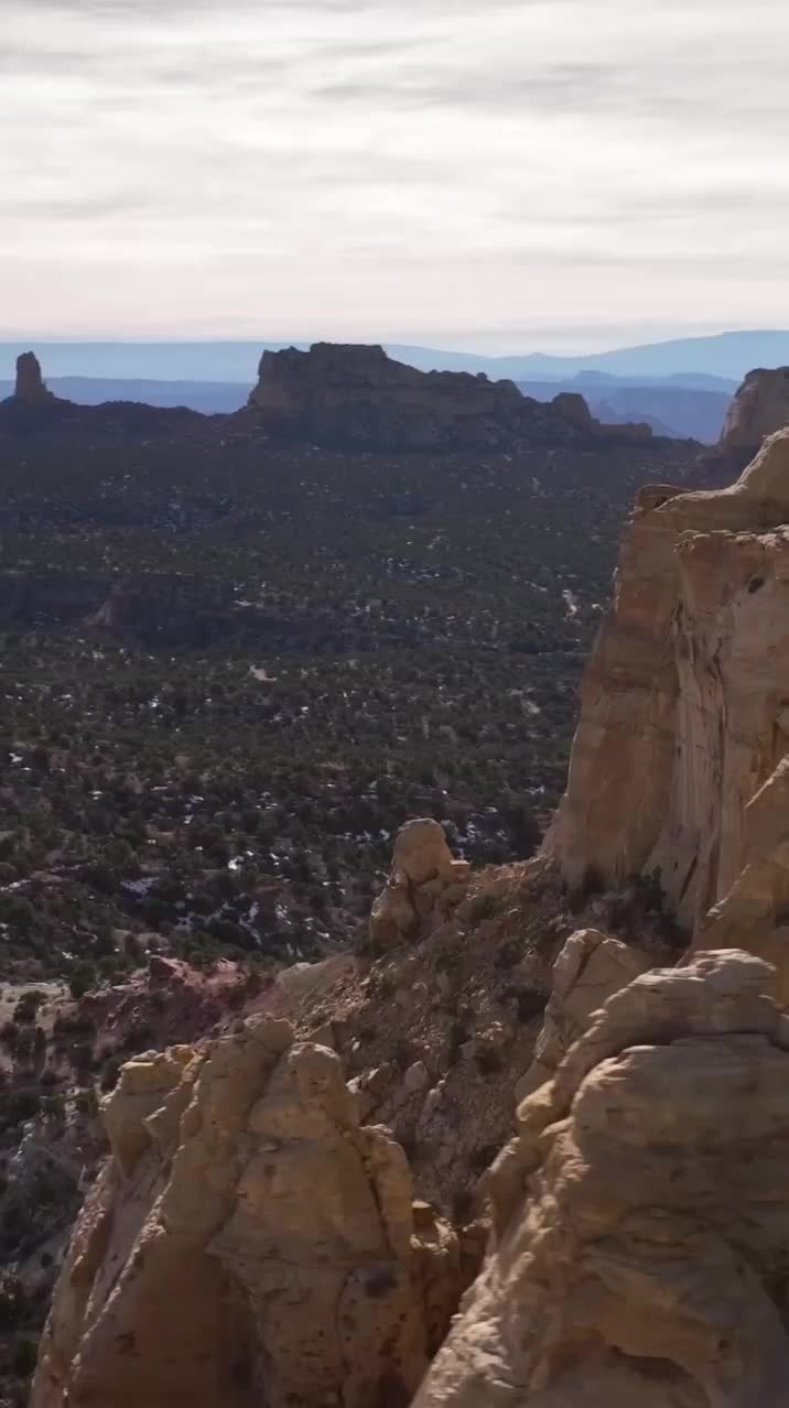 Video post from bertsmegamall.