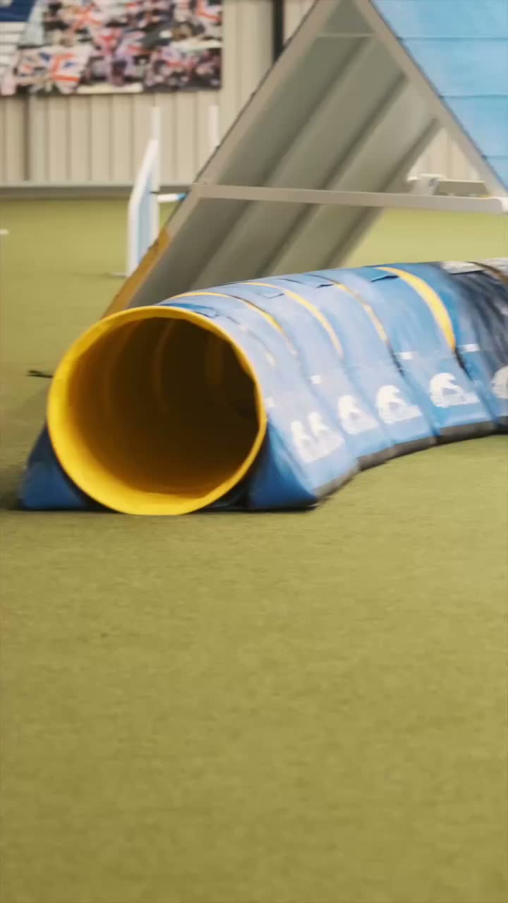 Video post from pawstrading.