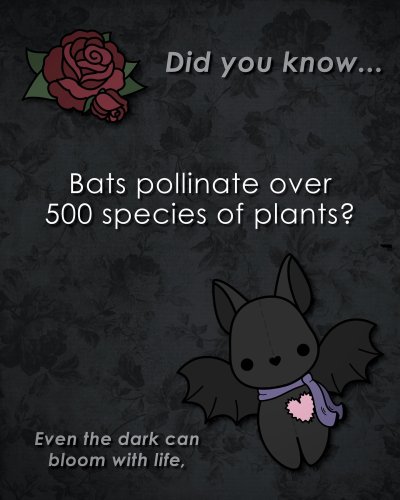 Carousel post from edgarandemi.