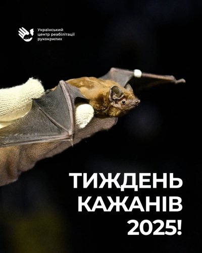 Photo post from bats_ukraine.