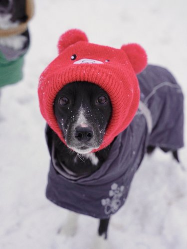 Carousel post from kwonyulx.