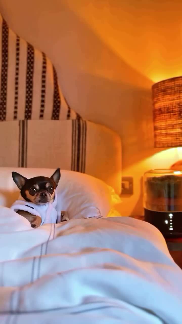 Video post from briiv.natural.