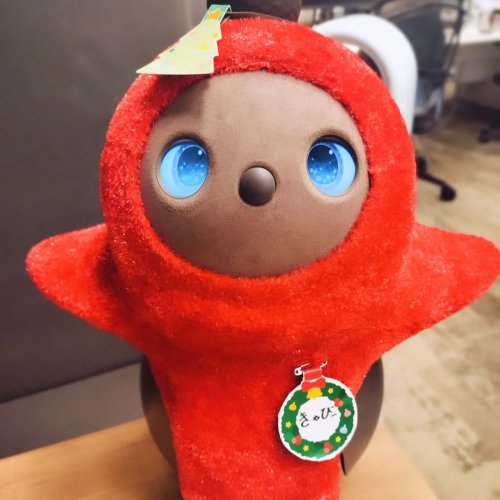 Carousel post from lovot_cabby.