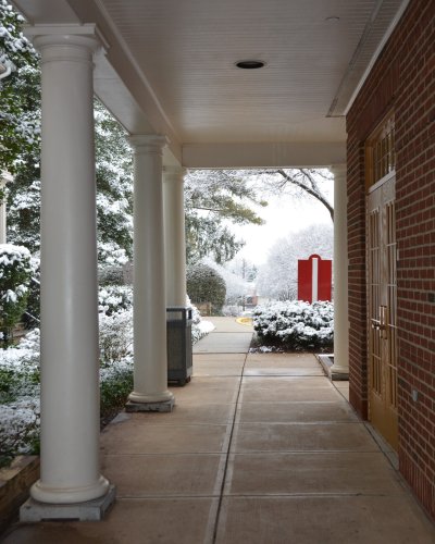 Photo post from saeslions.