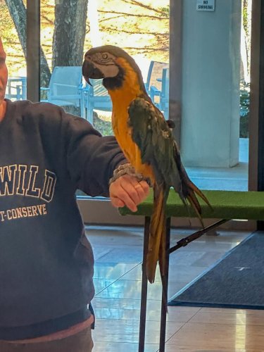 Carousel post from unumcareers.