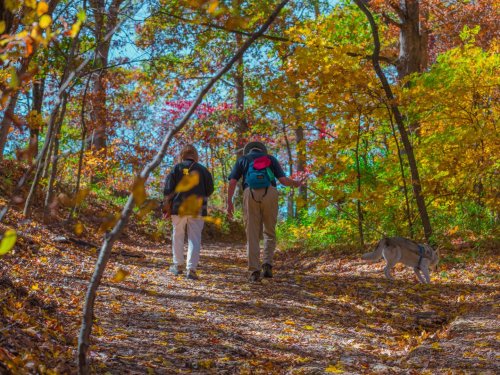 Carousel post from indianadunes.