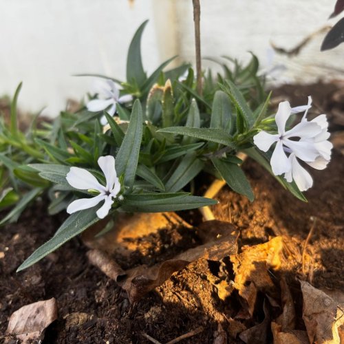 Carousel post from wildwooddale.