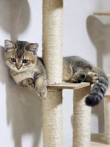 Photo post from theperfectfather.