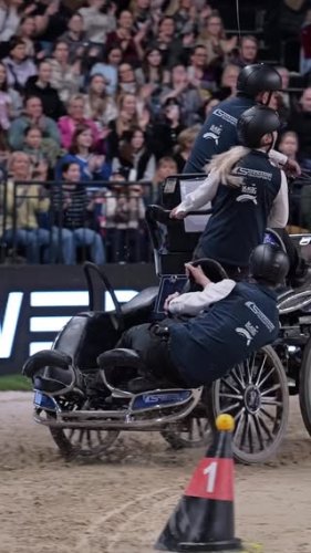 Video post from fei_global.