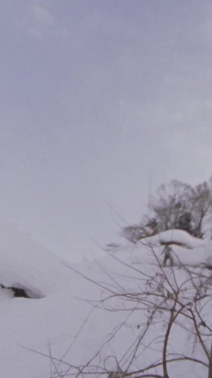 Video post from gnusnowboards.