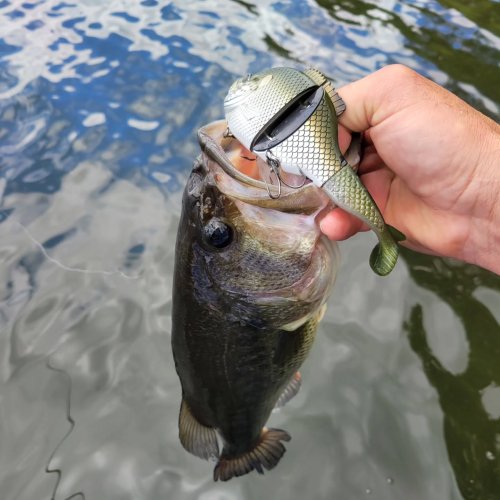 Photo post from garrettscustoms.