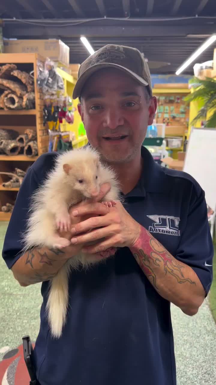 Video post from njexoticpets.