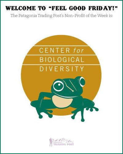 Photo post from patagoniatradingpost.