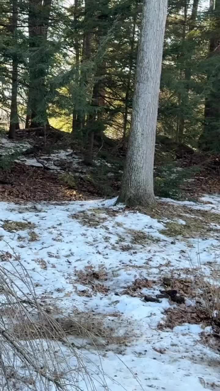 Video post from eastcoastnerds.