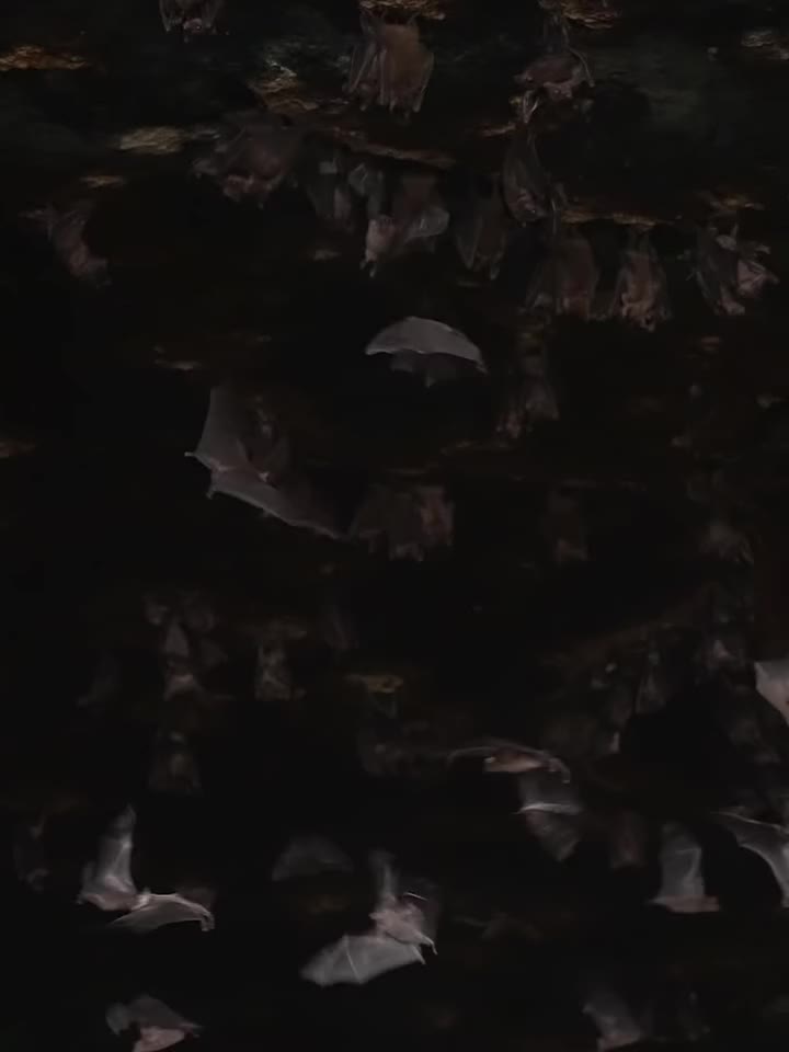 Carousel post from travelsouthernoregon.