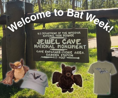 Photo post from blackhillsparksnforests.