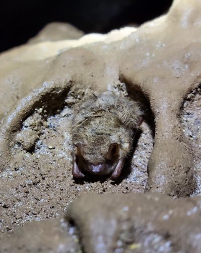 Carousel post from mssciencemuseum.