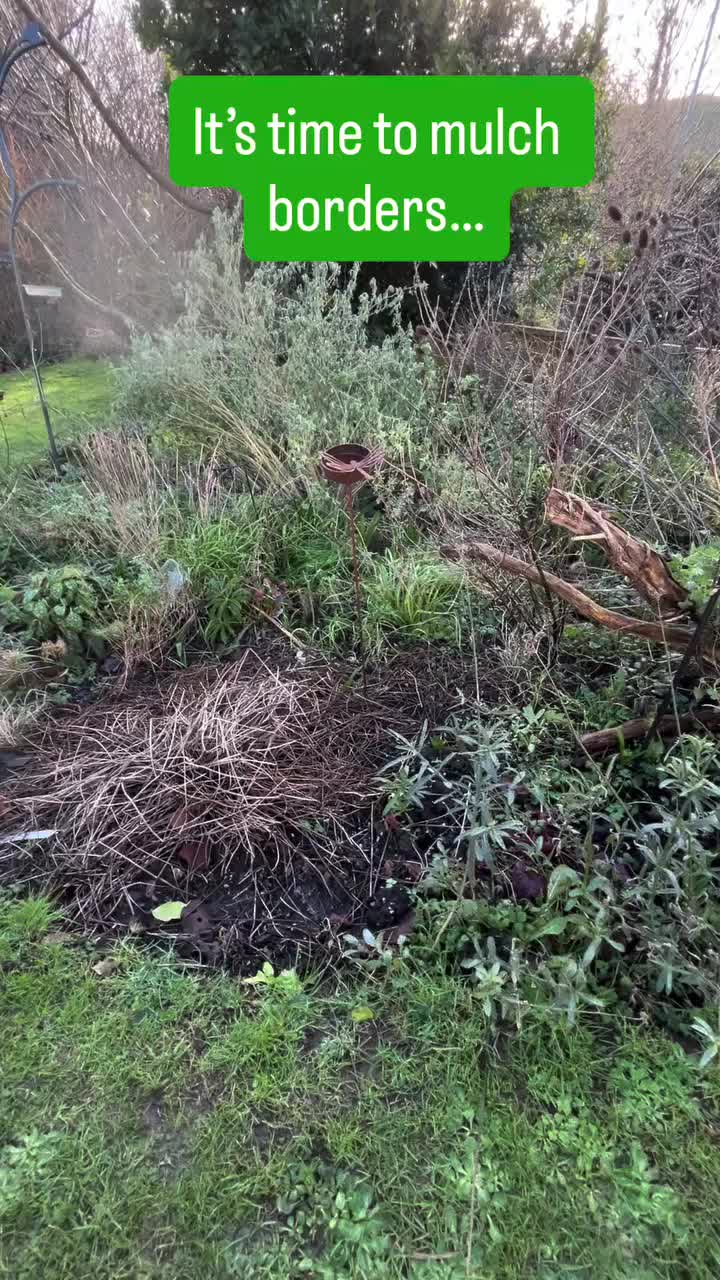 Video post from littlegrovesnursery.