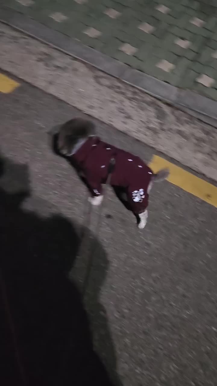 Video post from mangofresh1982.