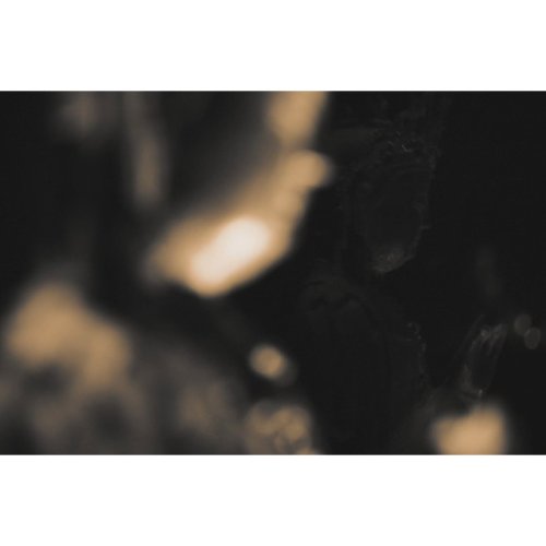 Carousel post from zhangdoa.