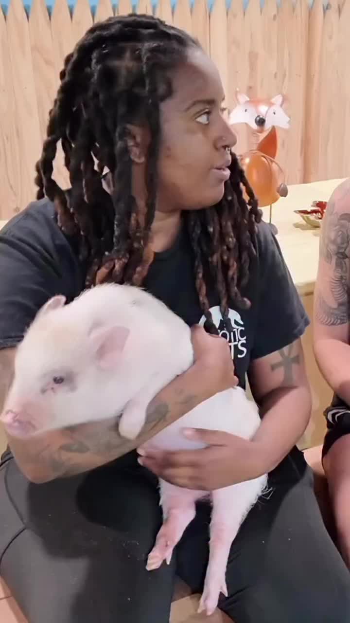 Video post from njexoticpets.