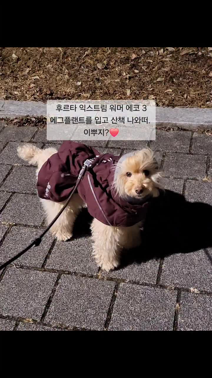 Video post from bon_bon_718.