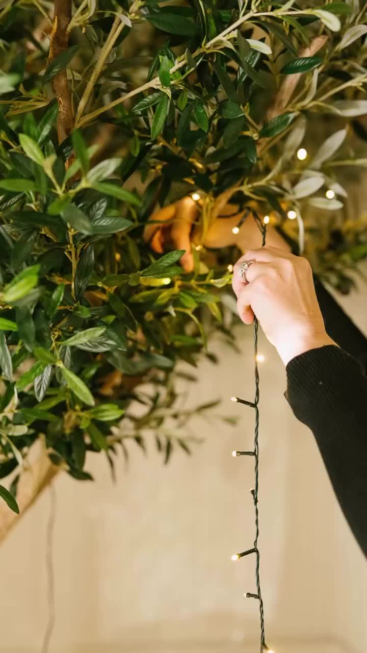 Video post from hotelvaratruro.