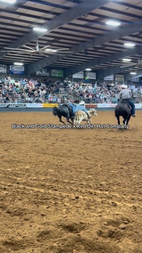 Video post from reddirthatco.