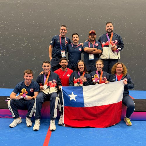 Photo post from pelotavascachile.