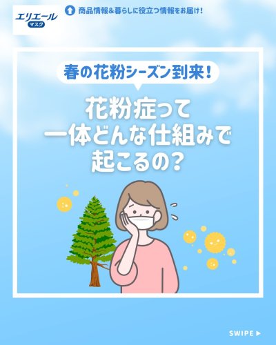 Carousel post from elleairofficial.