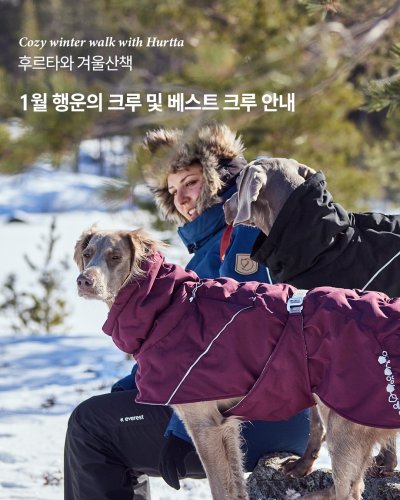 Carousel post from hurttakorea.