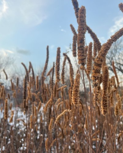 Photo post from bluethumbmn.