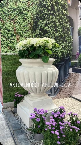 Video post from chronos_collection.