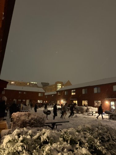 Photo post from bostoncollege.