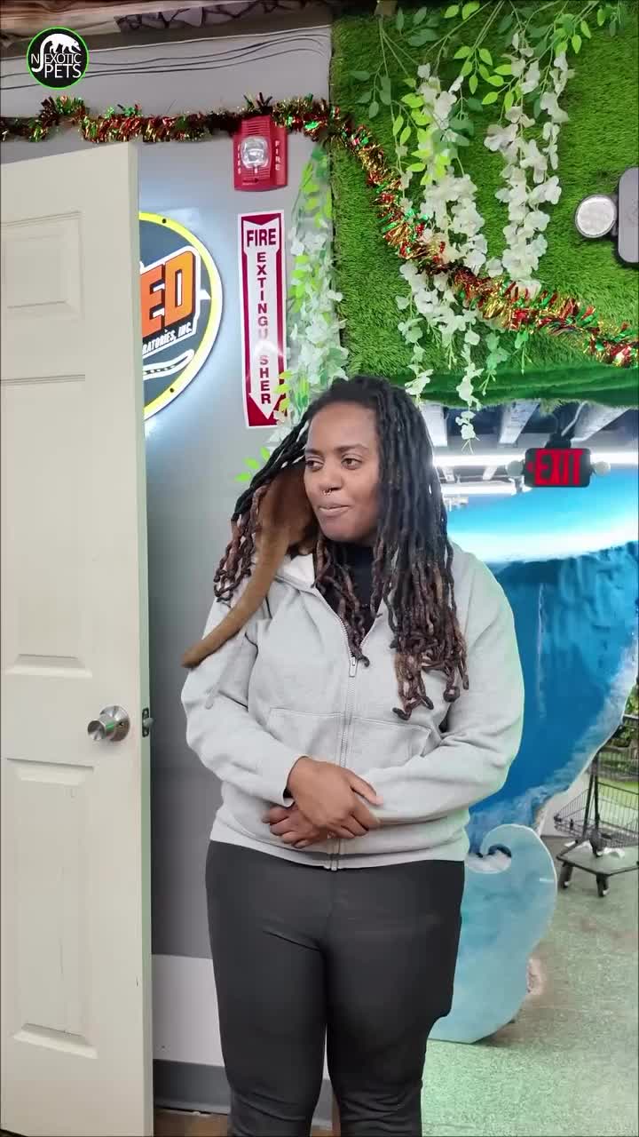 Video post from njexoticpets.