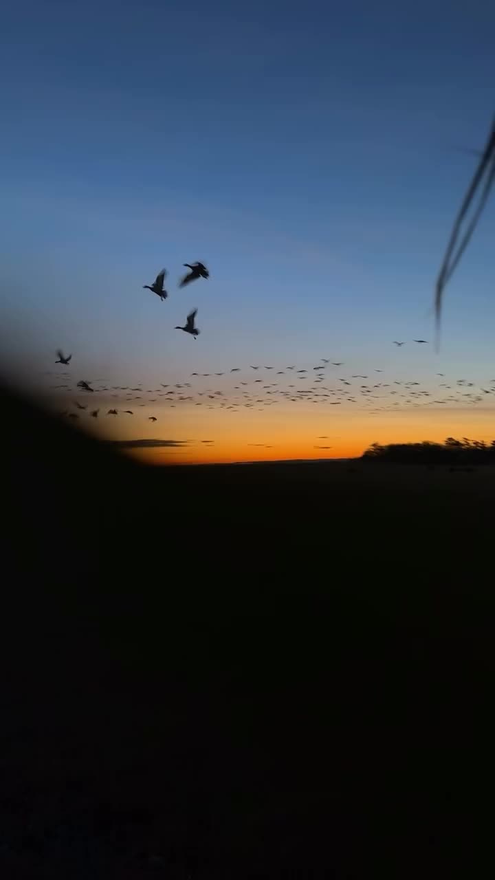 Video post from northernskiesoutfitters.