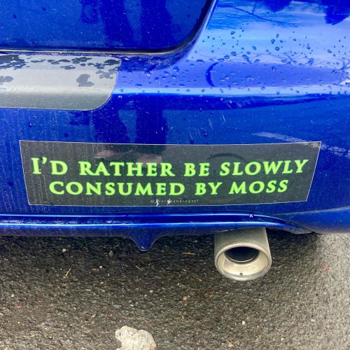 Photo post from pdxswingsnthings.