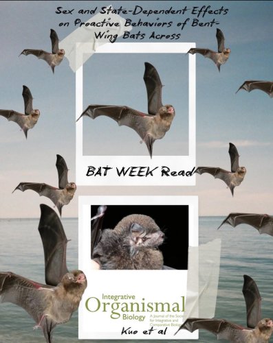 Photo post from iobjournal.