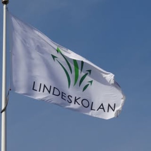 Video post from lindeskolan.