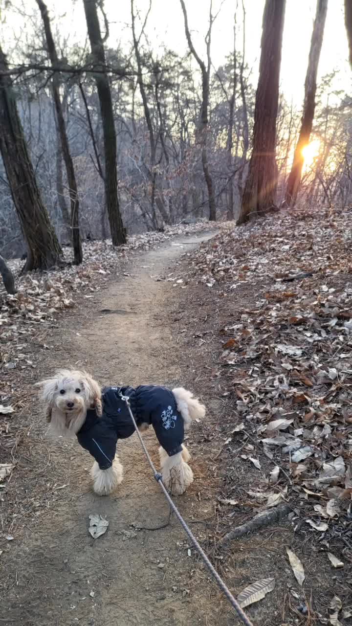 Video post from bon_bon_718.