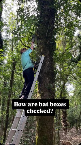 Video post from naturewithholly.