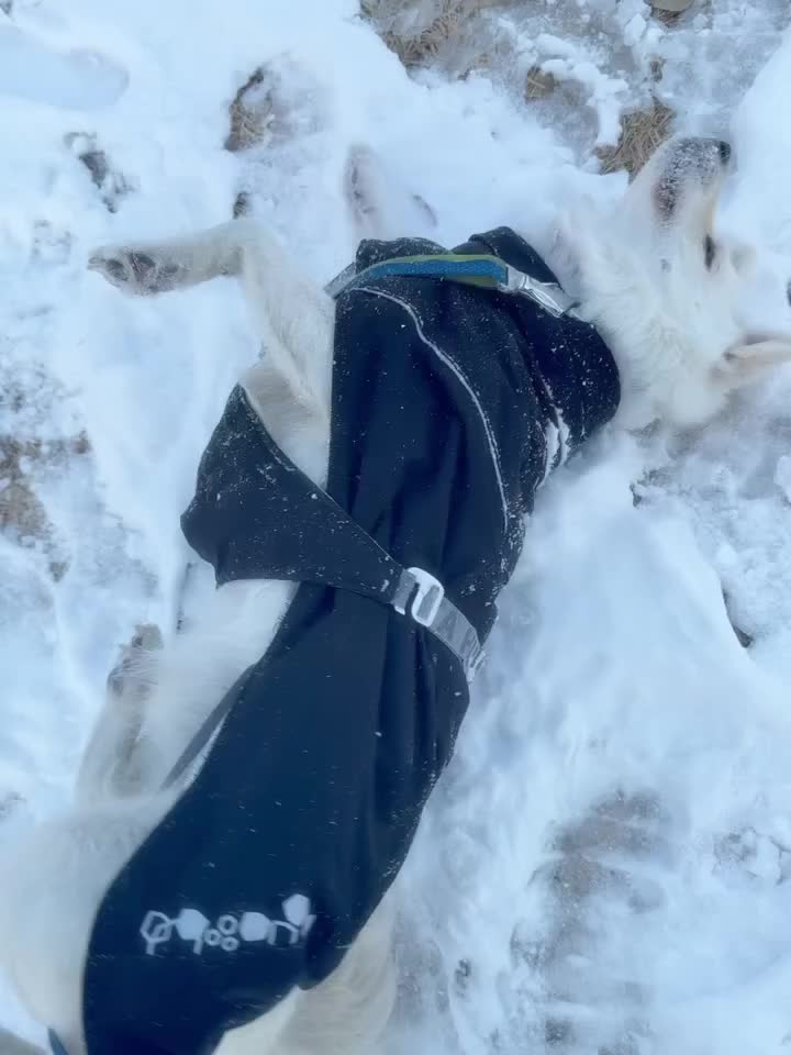 Carousel post from hurttakorea.