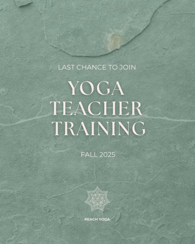 Carousel post from reachyoga_sd.