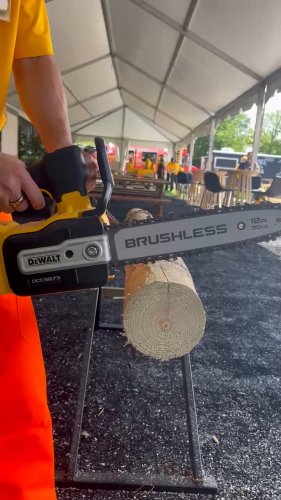 Photo post from dewalttough.