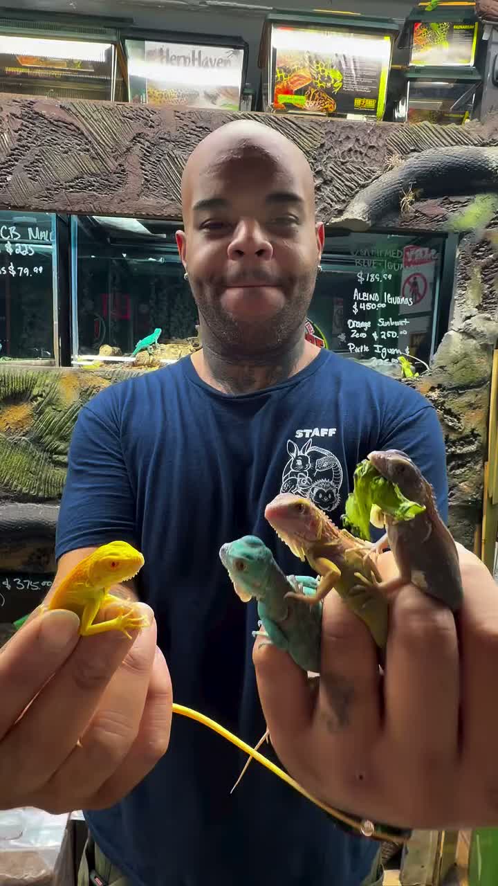 Video post from njexoticpets.