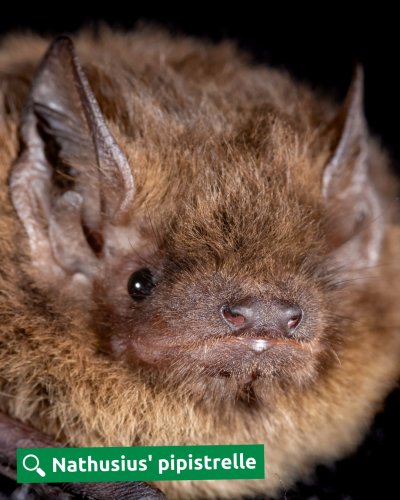 Photo post from forest_of_dean_fe.