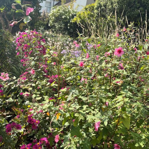 Photo post from gardenhousebrighton.