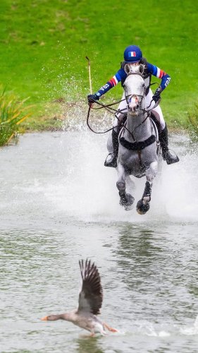 Video post from fei_global.